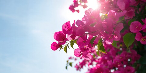 African wild zebra in a natural habitat, emphasizing seasonal change and erosion risk