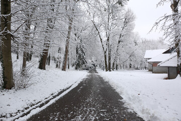 Park trees covered with snow, first snow
