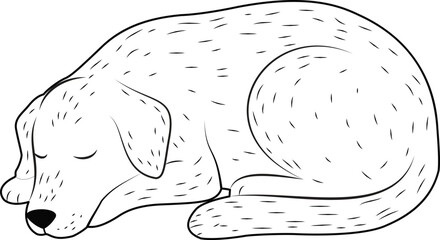 Simple Line Art of a Sleeping Cat / Pet Cat Vector Illustration