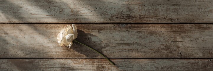 A dried white rose placed on a weathered wooden table, emphasizing natural decay and rustic charm