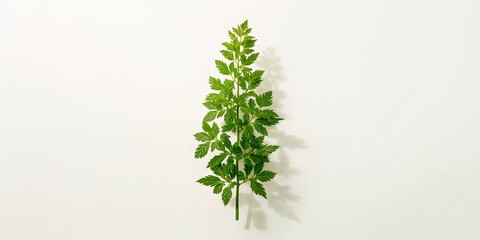 Naklejka premium Automated irrigation systems in desert agriculture, enhancing water efficiency and crop production