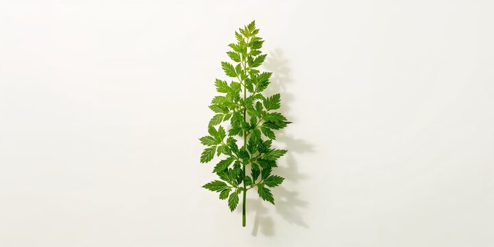 Automated irrigation systems in desert agriculture, enhancing water efficiency and crop production