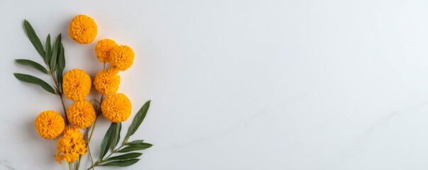 Lohri festival background with mango leaf and marigold flower on white marble. Indian harvest celebration concept. Traditional greeting card design. Banner with copy space
