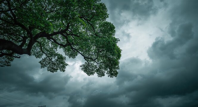 Pastry swirls filled with cheese and olive, highlighting processed ingredients for snack preparation