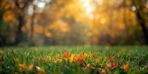 Obraz premium Ancient stone building set amidst forested mountains, showcasing historic architecture, travel scene