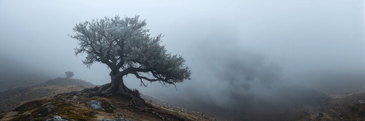 Tree surrounded by fog offers a serene winter landscape, emphasizing seasonal change awareness day