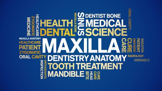 Maxilla animated word cloud-text design animation tag kinetic typography seamless loop.