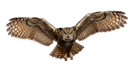 Great horned owl flying PNG isolated on transparent background, majestic bird of prey with outstretched wings, wildlife animal
