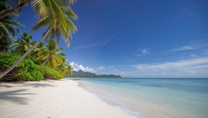 Tropical island beach with clear sky and palm trees, ideal for outdoor relaxation