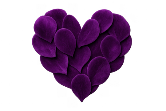 Purple velvet petals forming heart shape on transparent background