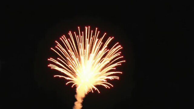 Single firework rocket ascending into a pitch-black night sky before detonating into a magnificent, symmetrical sphere of sparks.