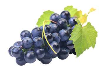 Bunch of grapes isolated