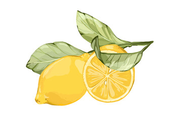 Fototapeta premium Lemon branch with ripe fruits and leaves. Vector hand drawn quick sketch illustration. Great for food branding, diet materials, vitamin concepts, eco packaging, kitchen decor, summer culinary designs.