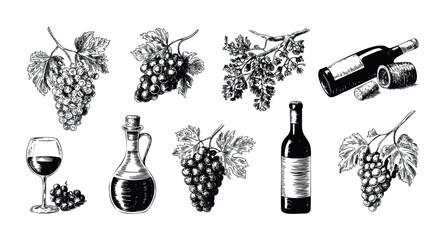 Explore a detailed collection of handdrawn vintage wine and grape illustrations perfect for vineyard branding, restaurant menus, beverage packaging, and culinary decor applications
