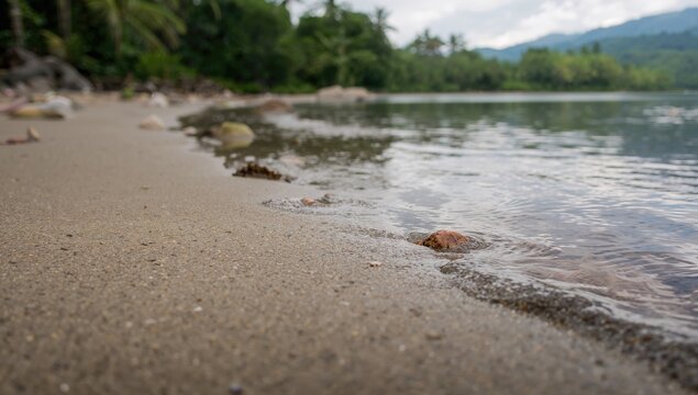 Tropical river sand in Asia, highlighting natural sediment layers and erosion patterns