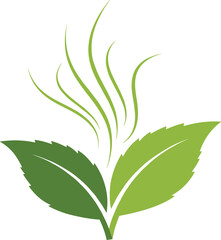 Creative green tea leaves vector icon with rising aroma lines symbolizing herbal scent, fresh organic beverage, and natural wellness concept.