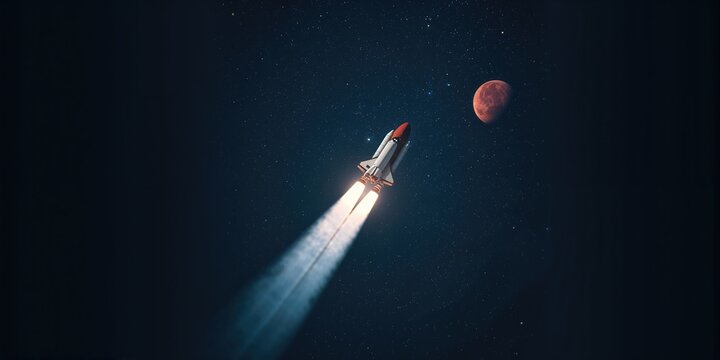 Dog in Christmas costume sitting near the Christmas tree, seasonal holiday celebration, New Year's interior decor - Powered by Adobe