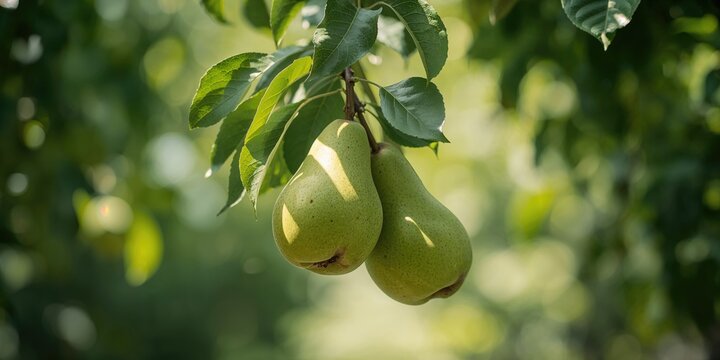 Map of the United States with a red pin indicating location, used as a navigation or geographic reference tool