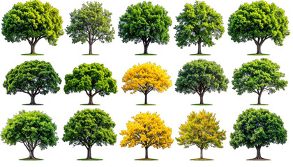 A collage showcases diverse leafy trees against a black background