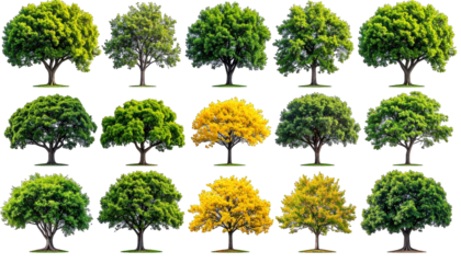 A collage showcases diverse leafy trees against a black background