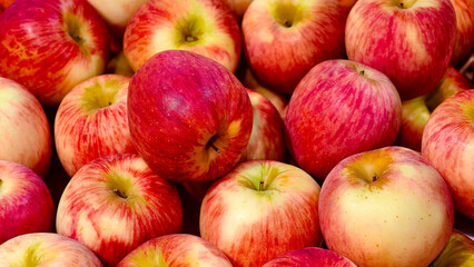 Close-up of a red, fresh apple.