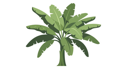 Stylized banana palm tree illustration exhibiting lush foliage and vibrant greenery against a clean backdrop exemplifying tropical beauty and