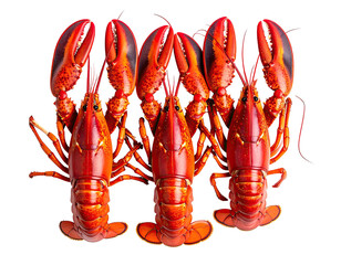 Three cooked, vibrant red crustaceans with outstretched claws against a void backdrop