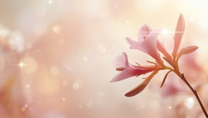 Close-up of calotropis plant with blooming flowers, serving as a natural background for botanical layouts