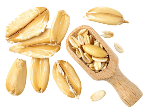 Close-up of uncooked oat groats with a wooden scoop on black
