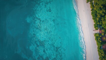 Volunteers handling a package of food essentials including cereals and bread, focusing on community support and aid, International Volunteer Day