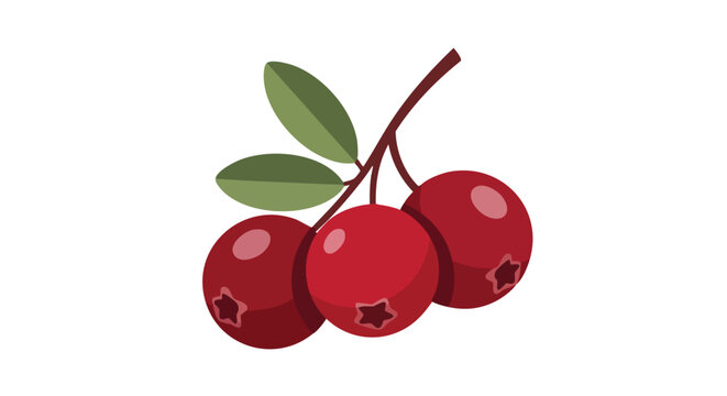 Illustrative depiction of vibrant cranberries on a stem, isolated on a white background, highlighting nature's sweet bounty with a fresh, simple