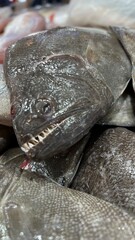 Fresh fish on display at the fish market in Bangkok, Thailand.
