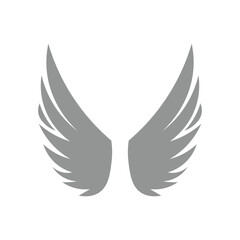 Wing Illustration