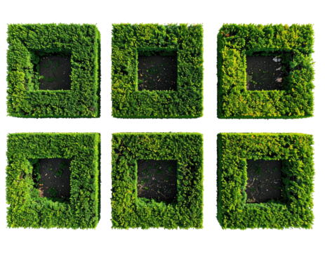 Six square topiary hedges with square voids, overhead view, on black background