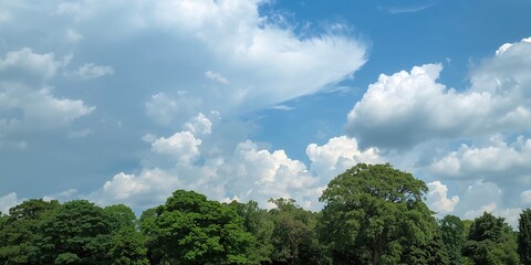 Obraz premium Scenic day with cloudy skies and trees, suitable as a background for text and layout