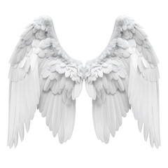 White isolated angel wings vector illustration with feathers and heart design symbol