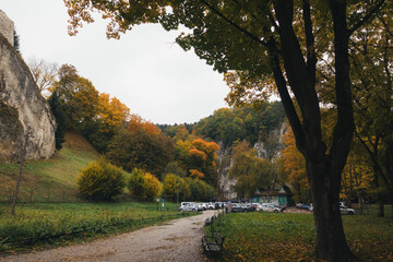 Autumnal landscape with colorful trees and a parking lot in a park
