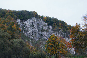 Scenic view of a rocky cliffside with autumn trees under a cloudy sky