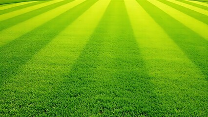 ryegrass. Manicured ryegrass on golf course green with geometric mowing patterns in daylight. gardening catalogs, home-decor guides, designed for home decor and floral branding.