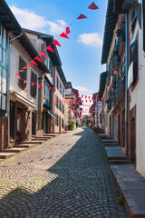 Saint-Jean-Pied-de-Port is a French town located in the Pyrénées-Atlantiques department in the...