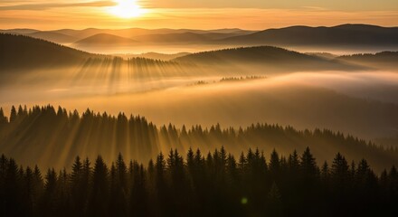 Sunrays pierce through morning fog over pine forests and rolling mountains at a vibrant golden sunrise