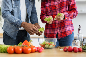 A couple is seen in the kitchen, preparing a fresh salad with various vegetables. They are focused on the task, creating a healthy meal.