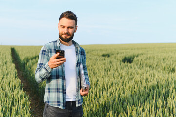 Farmer using smartphone and laptop in wheat field for precision agriculture