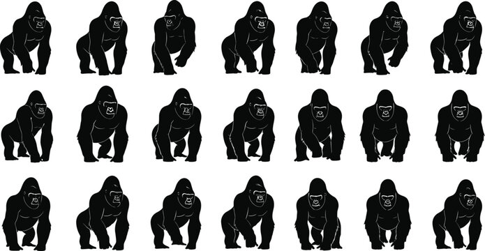 Gorilla silhouette collection, crouching primate poses, black ape vector icons, wildlife animal clipart, jungle mammal graphic set, symmetrical illustration