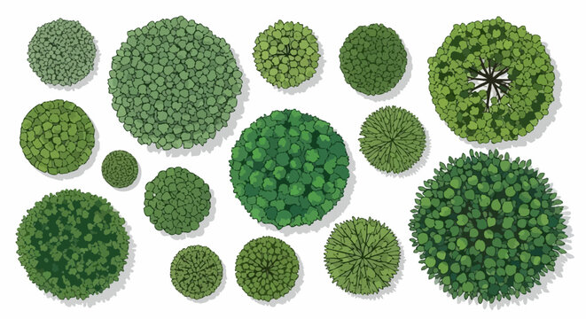 A diverse collection of green trees and shrubs seen from a top-down perspective, isolated on a white background.