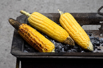 Young corn kernels grilled over charcoal are delicious.