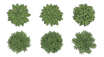 Overhead View of Green Bushes Seamless Plant and Foliage Design Elements © Fahmi