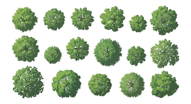 Top View Tree Illustrations for Landscape Design and Urban Planning