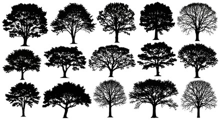 Fototapeta premium Silhouette Collection Diverse Tree Varieties in Black and White
