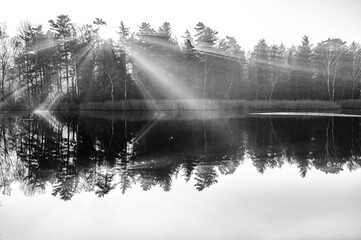 Nastrojowy, czarno-biały krajobraz przedstawiający las odbijający się w spokojnej tafli jeziora, z efektownymi promieniami słońca przebijającymi się przez korony drzew w porannej mgle. © Henryk Niestrój